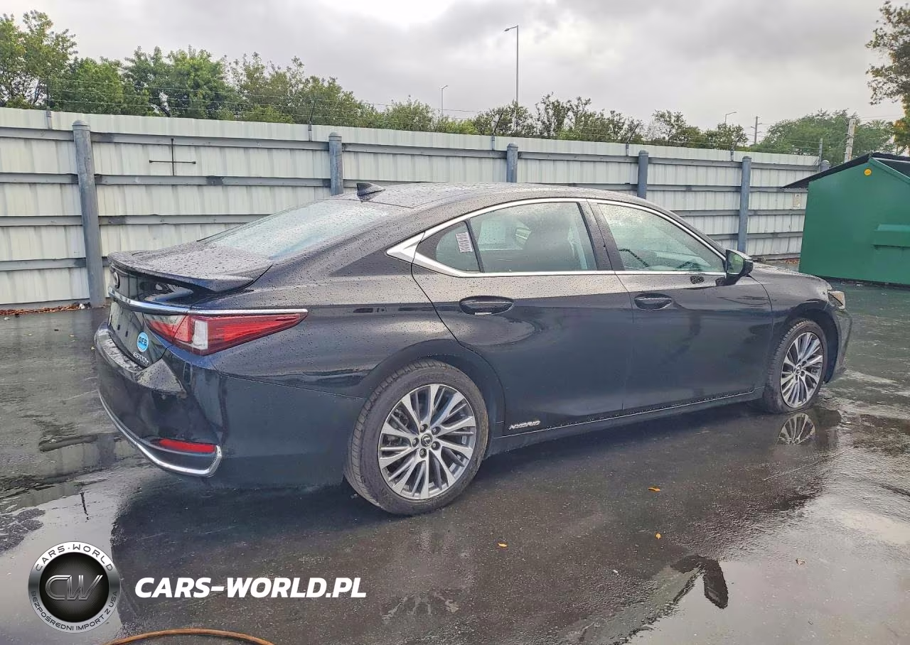 2020 Lexus Es 300H Base VIN:58AD21B13LU009056 - 3