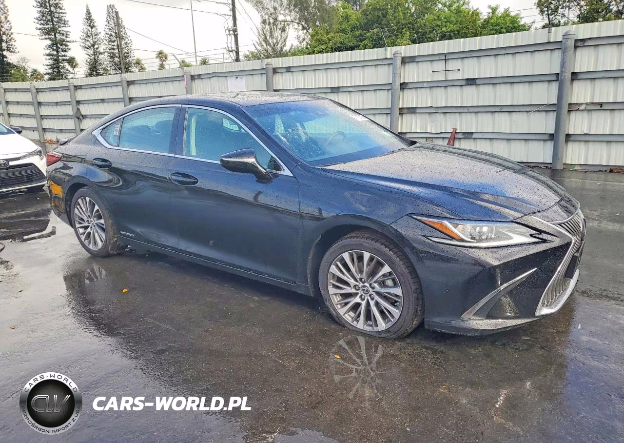 2020 Lexus Es 300H Base VIN:58AD21B13LU009056 - 4