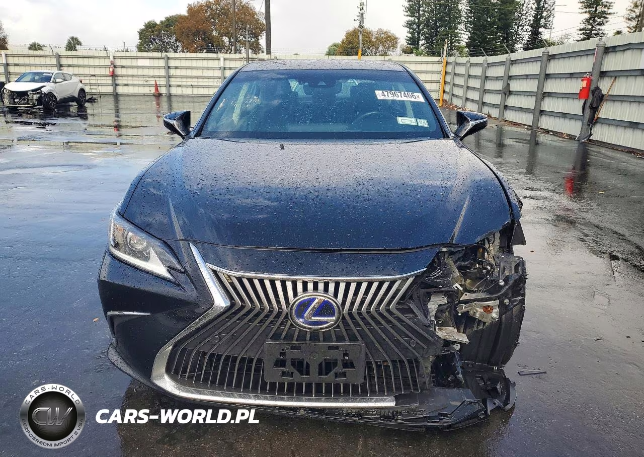 2020 Lexus Es 300H Base VIN:58AD21B13LU009056 - 5