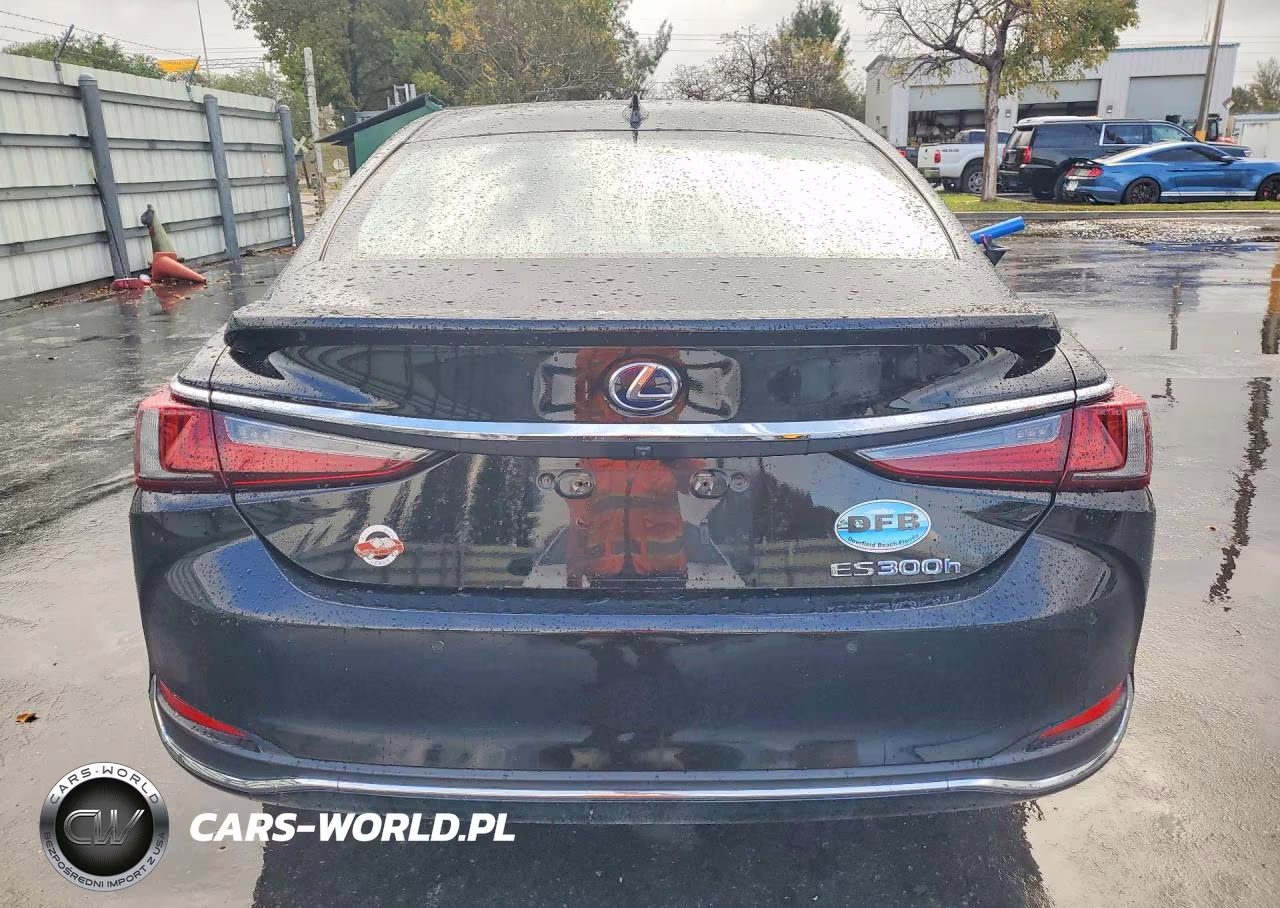 2020 Lexus Es 300H Base VIN:58AD21B13LU009056 - 6