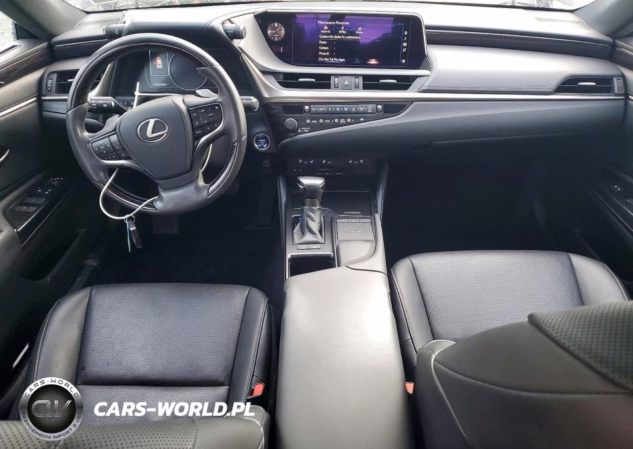 2020 Lexus Es 300H Base VIN:58AD21B13LU009056 - 8