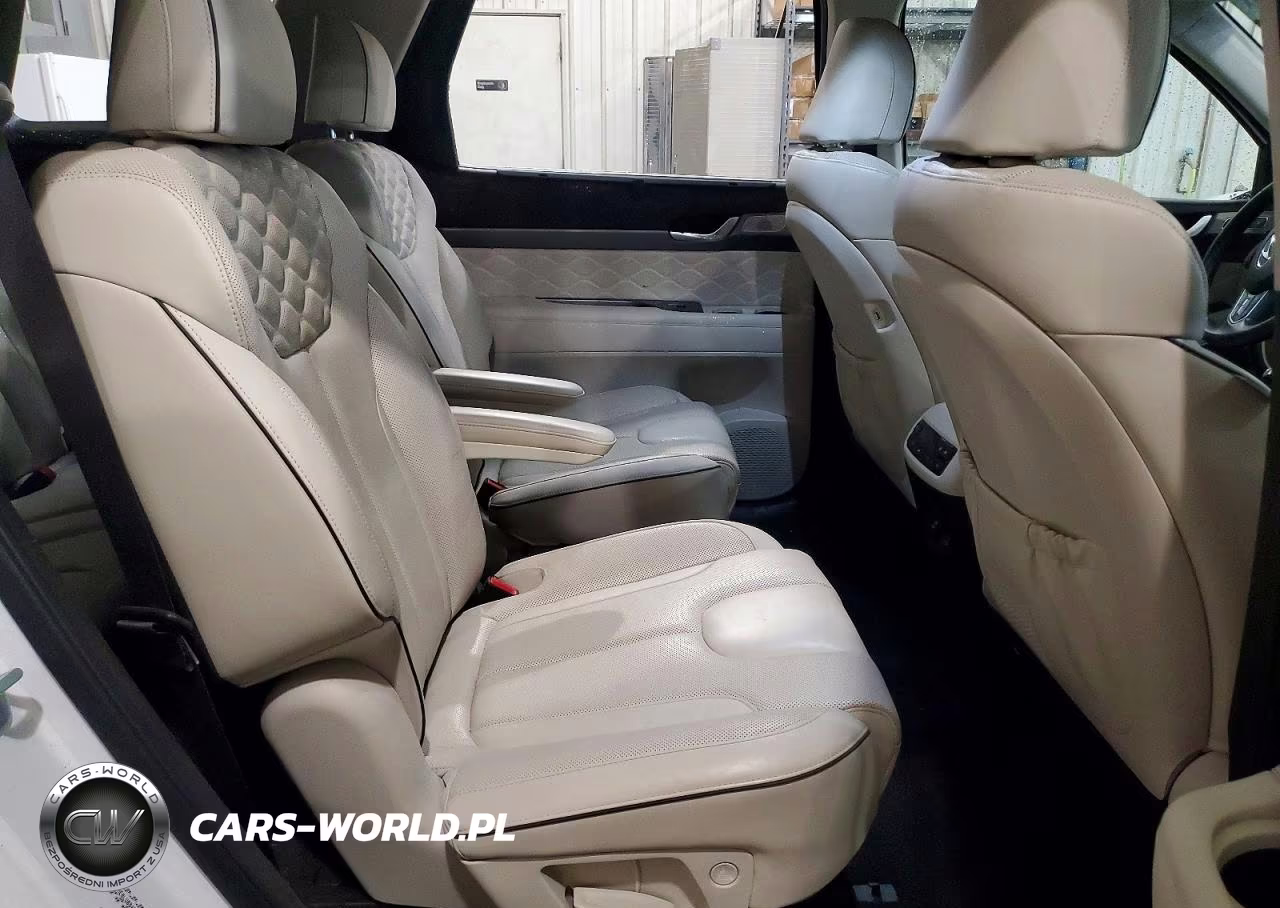 2020 Hyundai Palisade Limited VIN:KM8R5DHE0LU084927 - 11