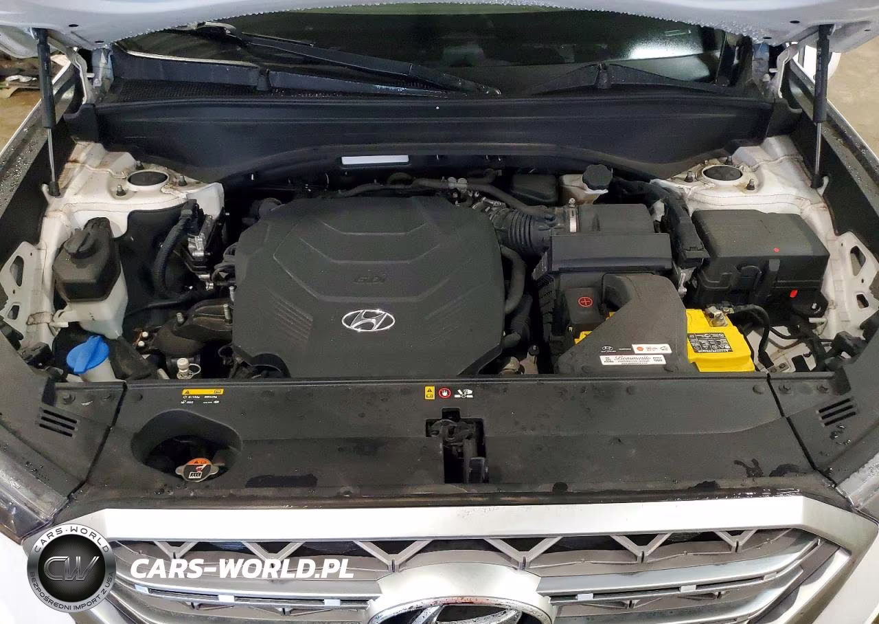 2020 Hyundai Palisade Limited VIN:KM8R5DHE0LU084927 - 12