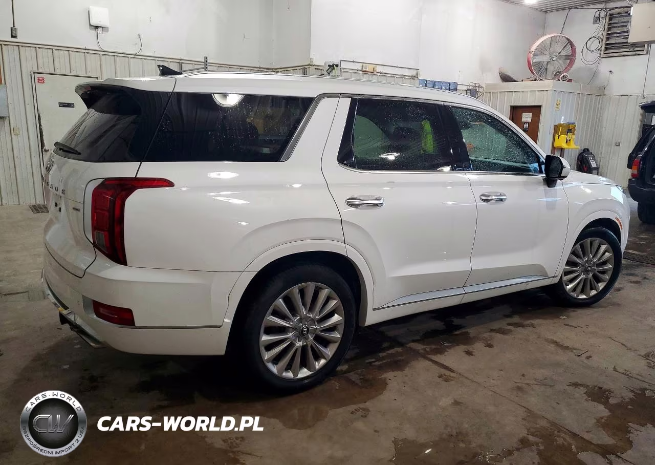 2020 Hyundai Palisade Limited VIN:KM8R5DHE0LU084927 - 3