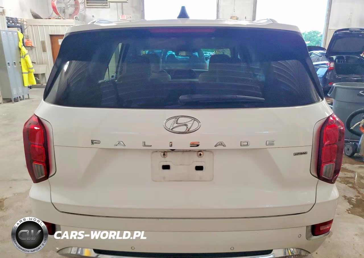 2020 Hyundai Palisade Limited VIN:KM8R5DHE0LU084927 - 6
