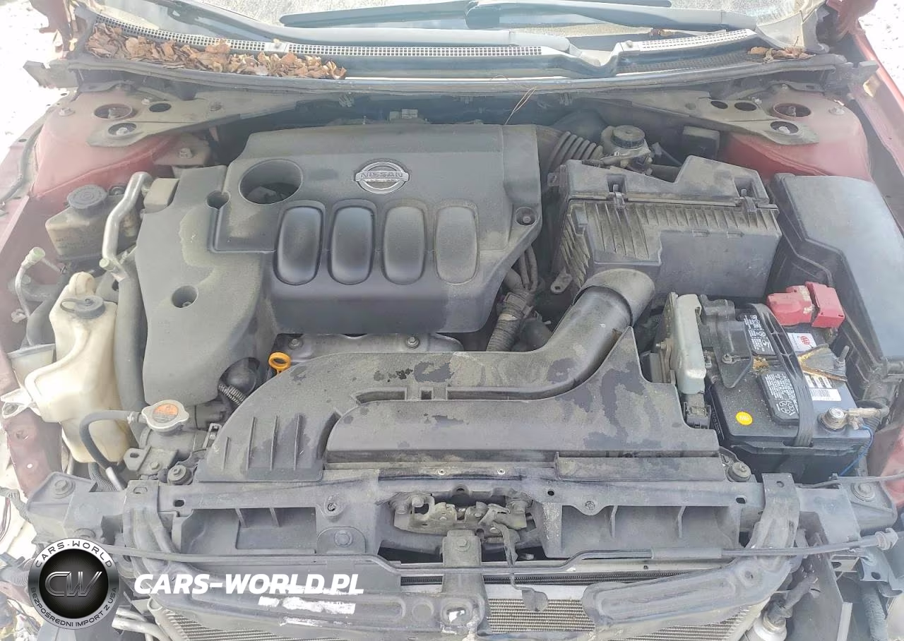 2010 Nissan Altima 2.5 VIN:1N4AL2AP4AC150704 - 11