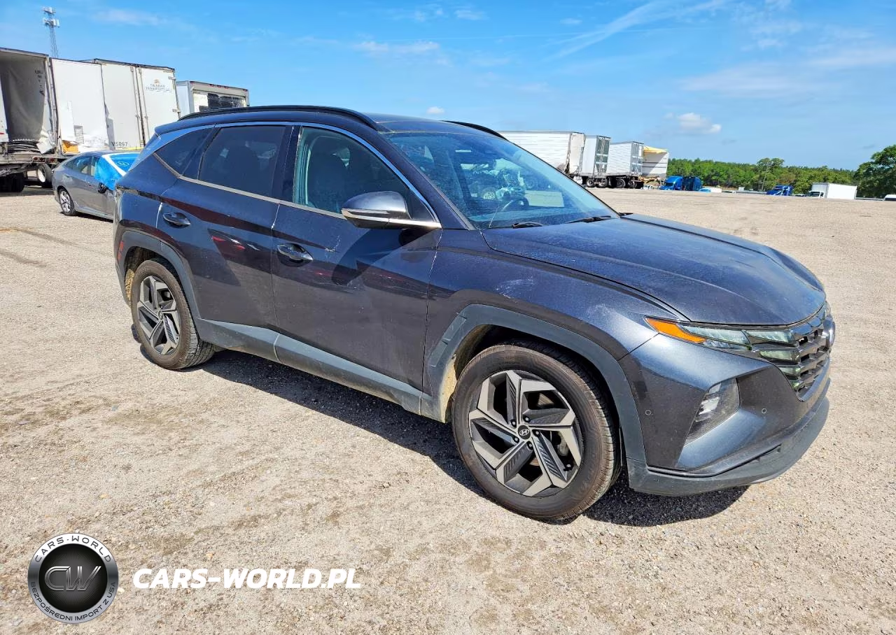 2022 Hyundai Tucson Limited VIN:5NMJE3AE8NH002717 - 4