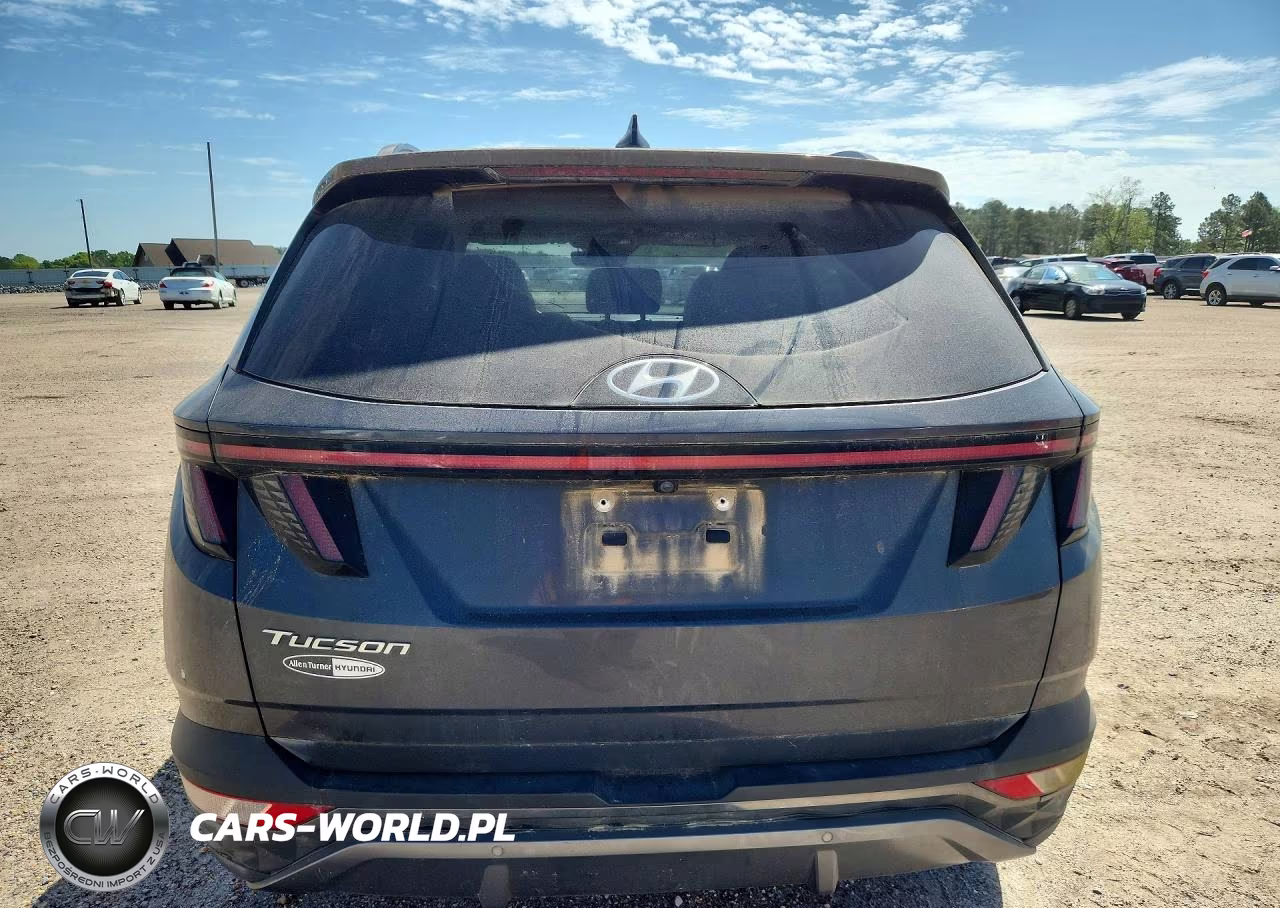 2022 Hyundai Tucson Limited VIN:5NMJE3AE8NH002717 - 6