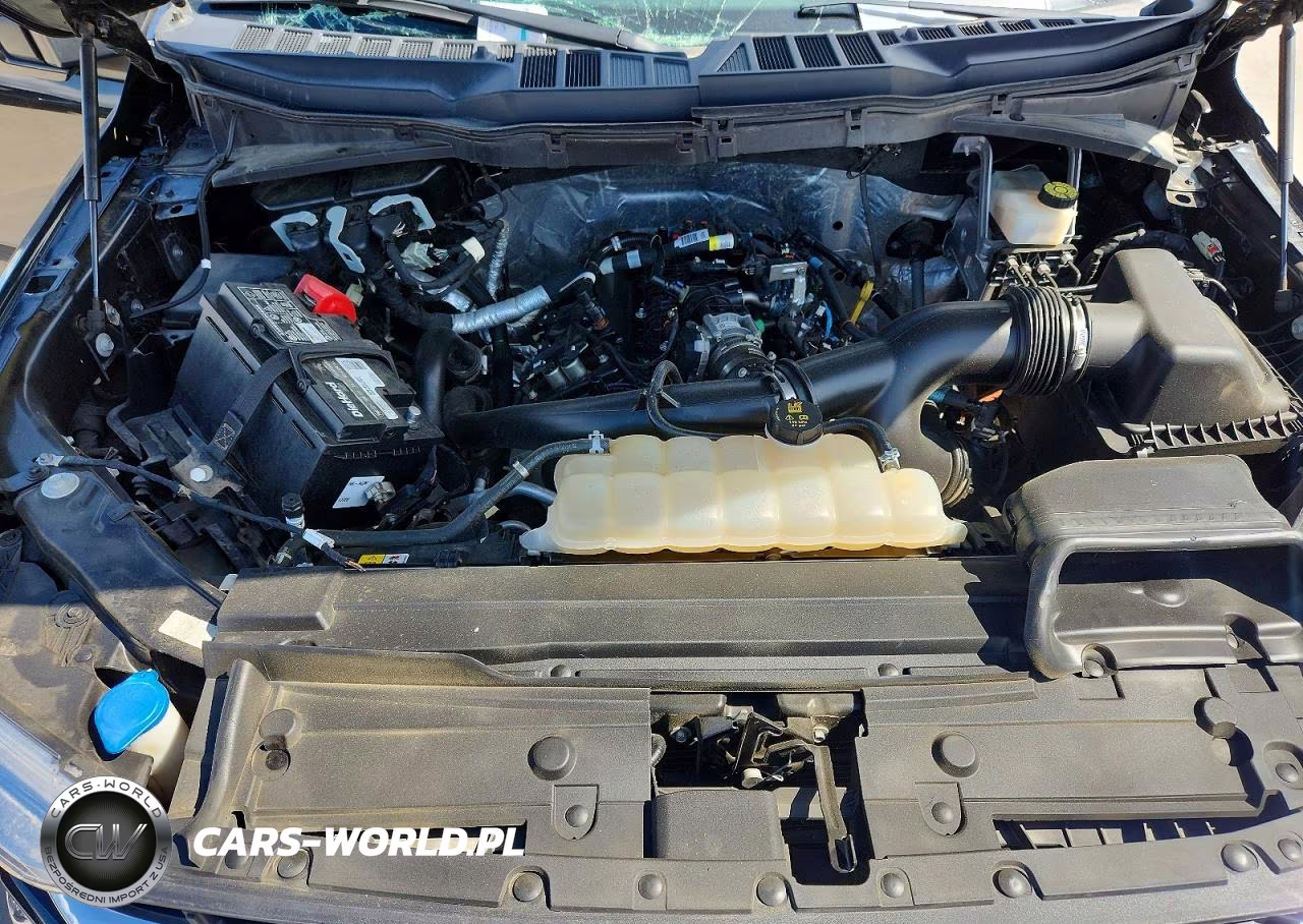 2021 Ford F150 Supercrew VIN:1FTEW1EP1MKE62691 - 11