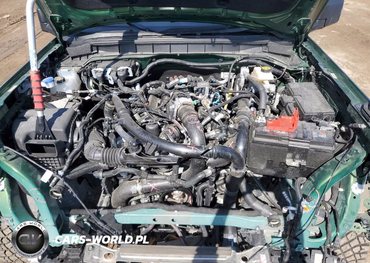 2024 Ford Bronco Wildtrak VIN:1FMEE2BP6RLA46131 - 12