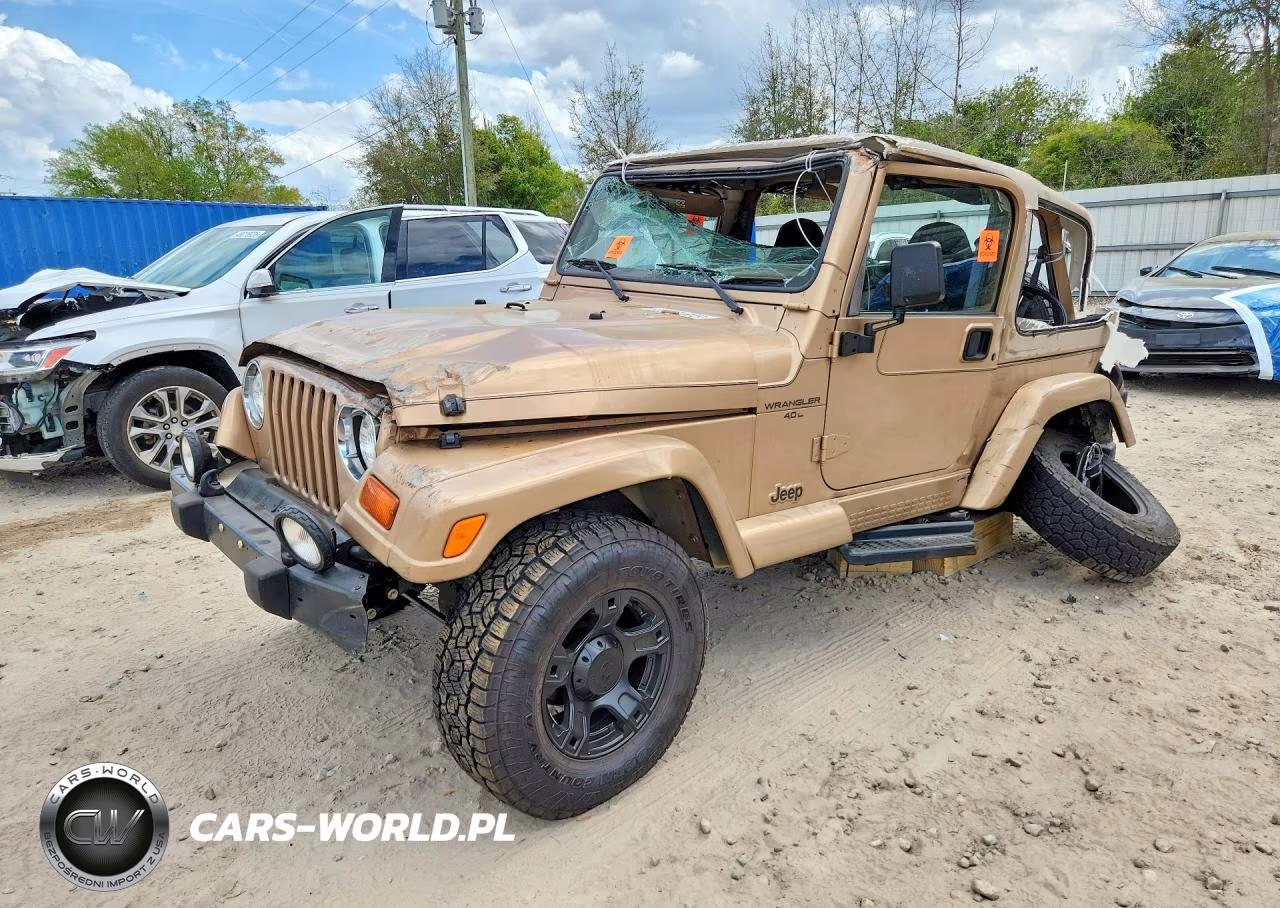 1999 Jeep Wrangler - Tj Sahara