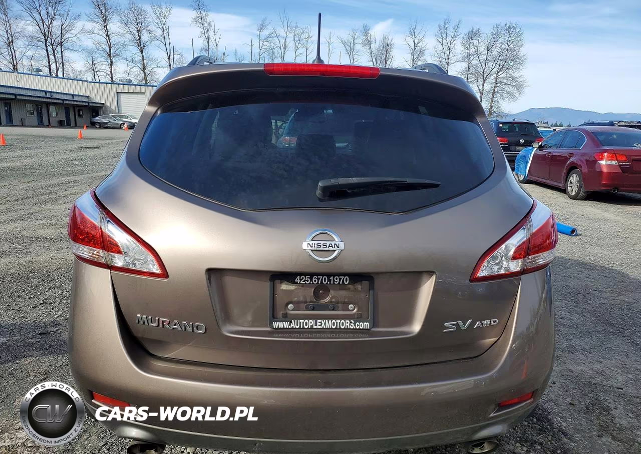 2013 Nissan Murano S VIN:JN8AZ1MW5DW303099 - 6