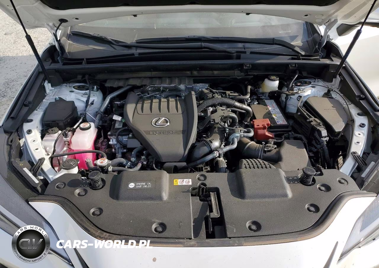 2025 Lexus Nx 350 Premium VIN:JTJGGCEZ1S2024640 - 12