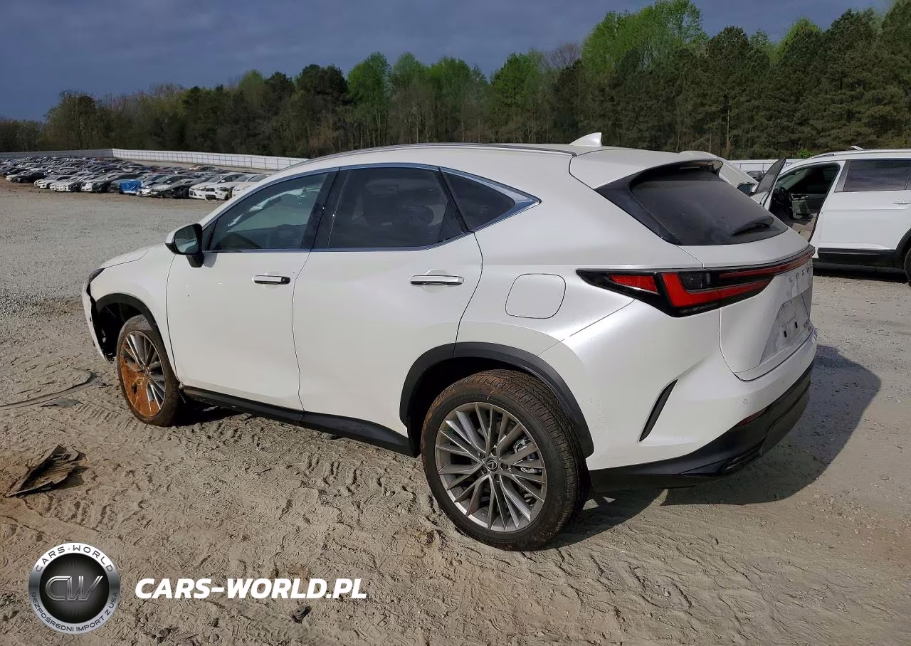 2025 Lexus Nx 350 Premium VIN:JTJGGCEZ1S2024640 - 2