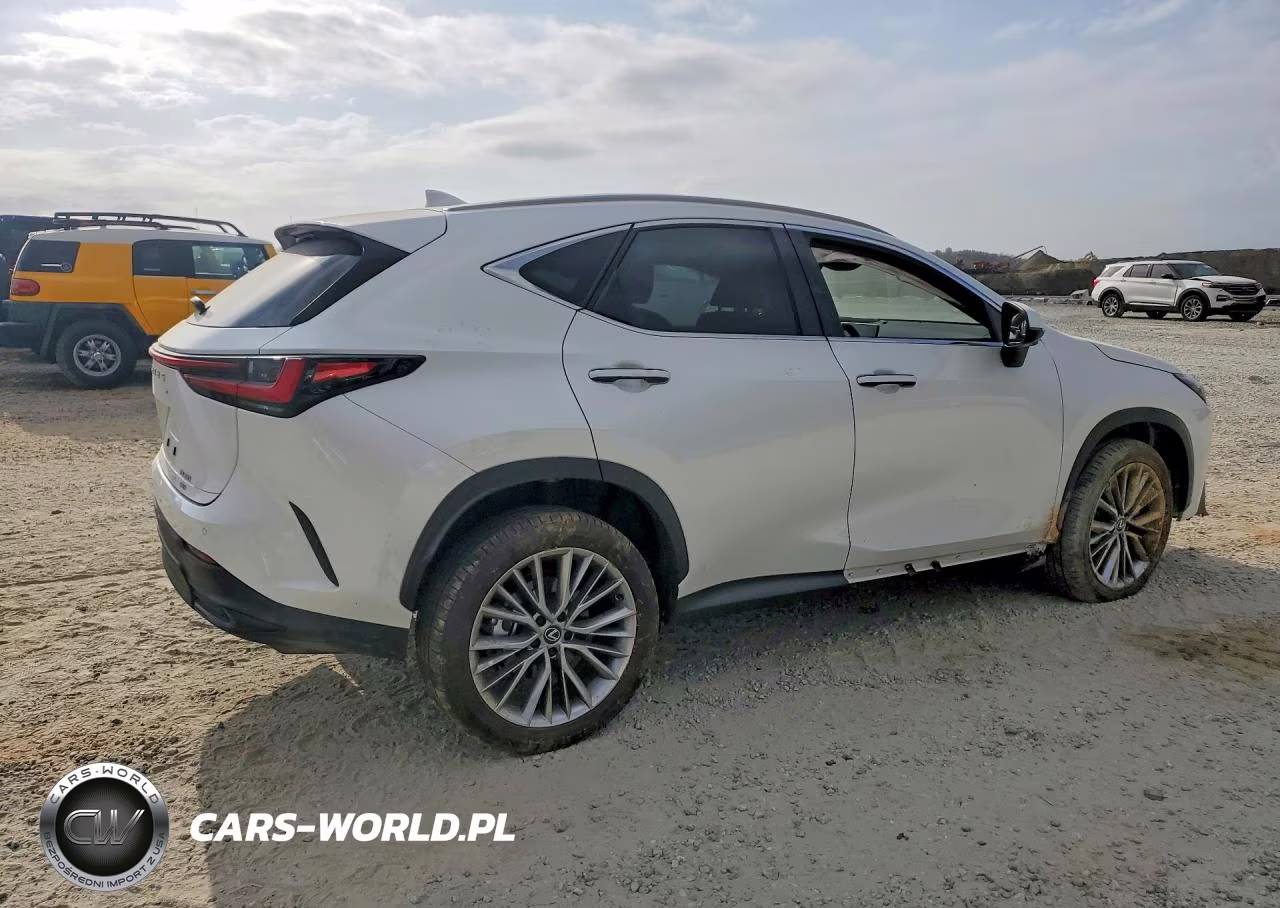 2025 Lexus Nx 350 Premium VIN:JTJGGCEZ1S2024640 - 3