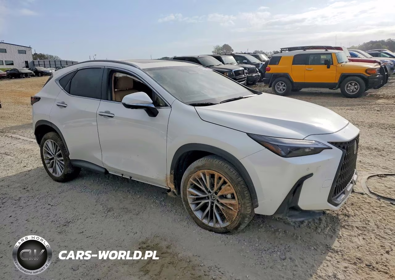 2025 Lexus Nx 350 Premium VIN:JTJGGCEZ1S2024640 - 4