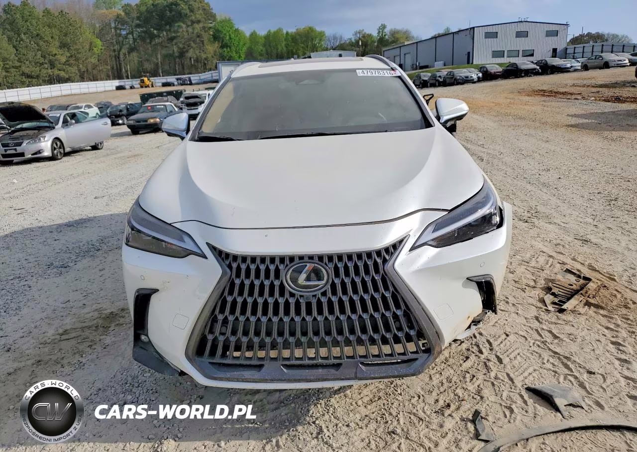 2025 Lexus Nx 350 Premium VIN:JTJGGCEZ1S2024640 - 5