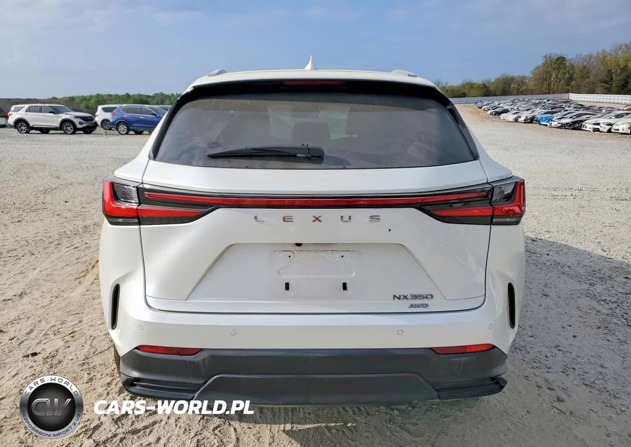 2025 Lexus Nx 350 Premium VIN:JTJGGCEZ1S2024640 - 6