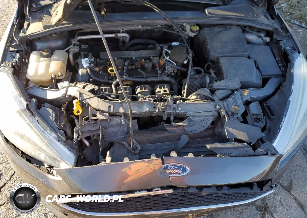 2015 Ford Focus Se VIN:1FADP3K23FL217553 - 11