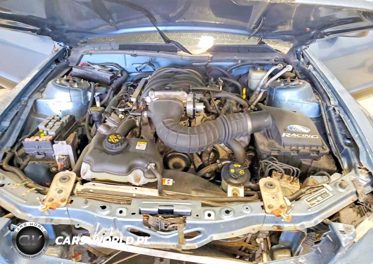 2006 Ford Mustang Gt VIN:1ZVFT82H065243741 - 11