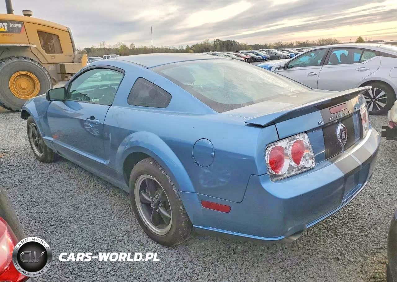 2006 Ford Mustang Gt VIN:1ZVFT82H065243741 - 2