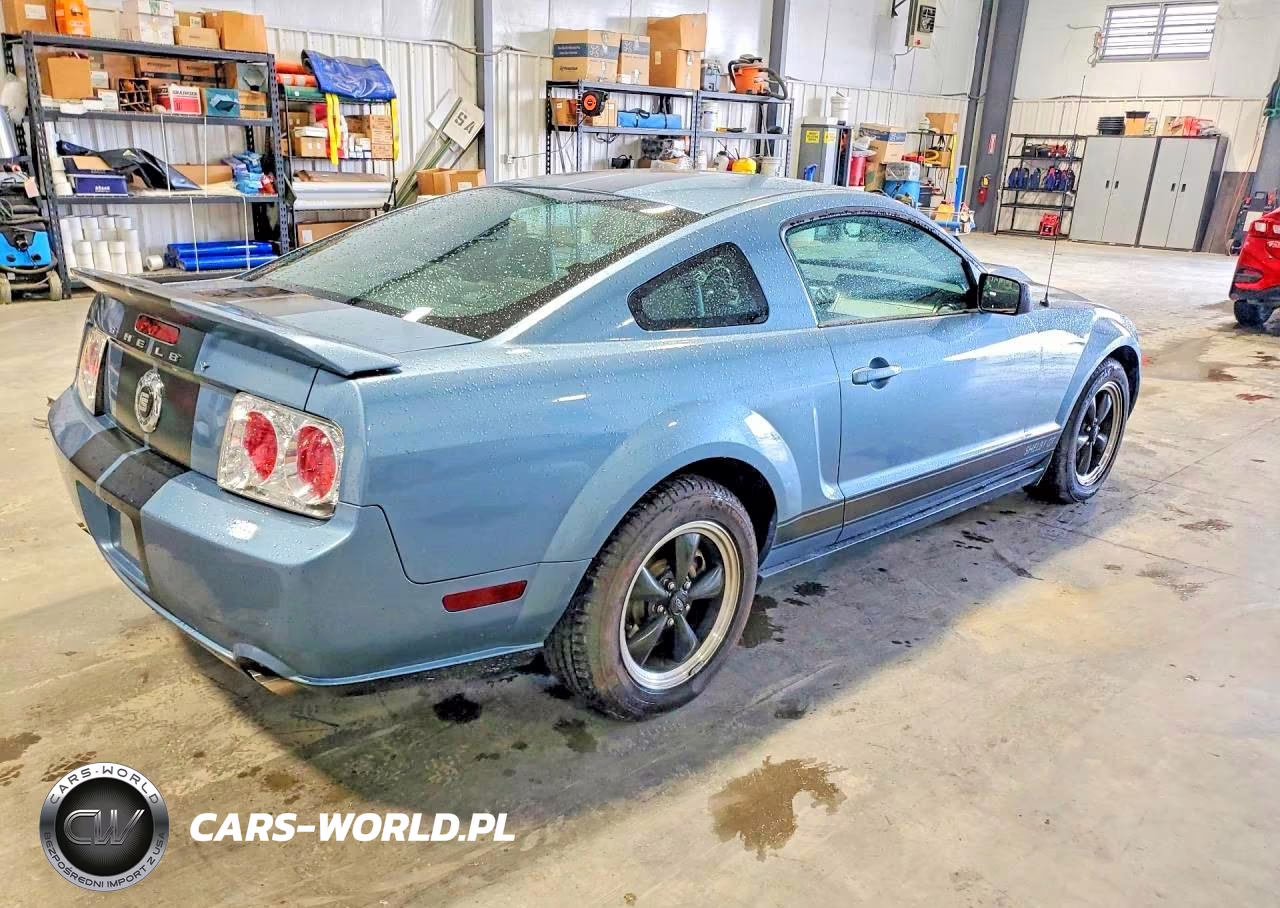 2006 Ford Mustang Gt VIN:1ZVFT82H065243741 - 3