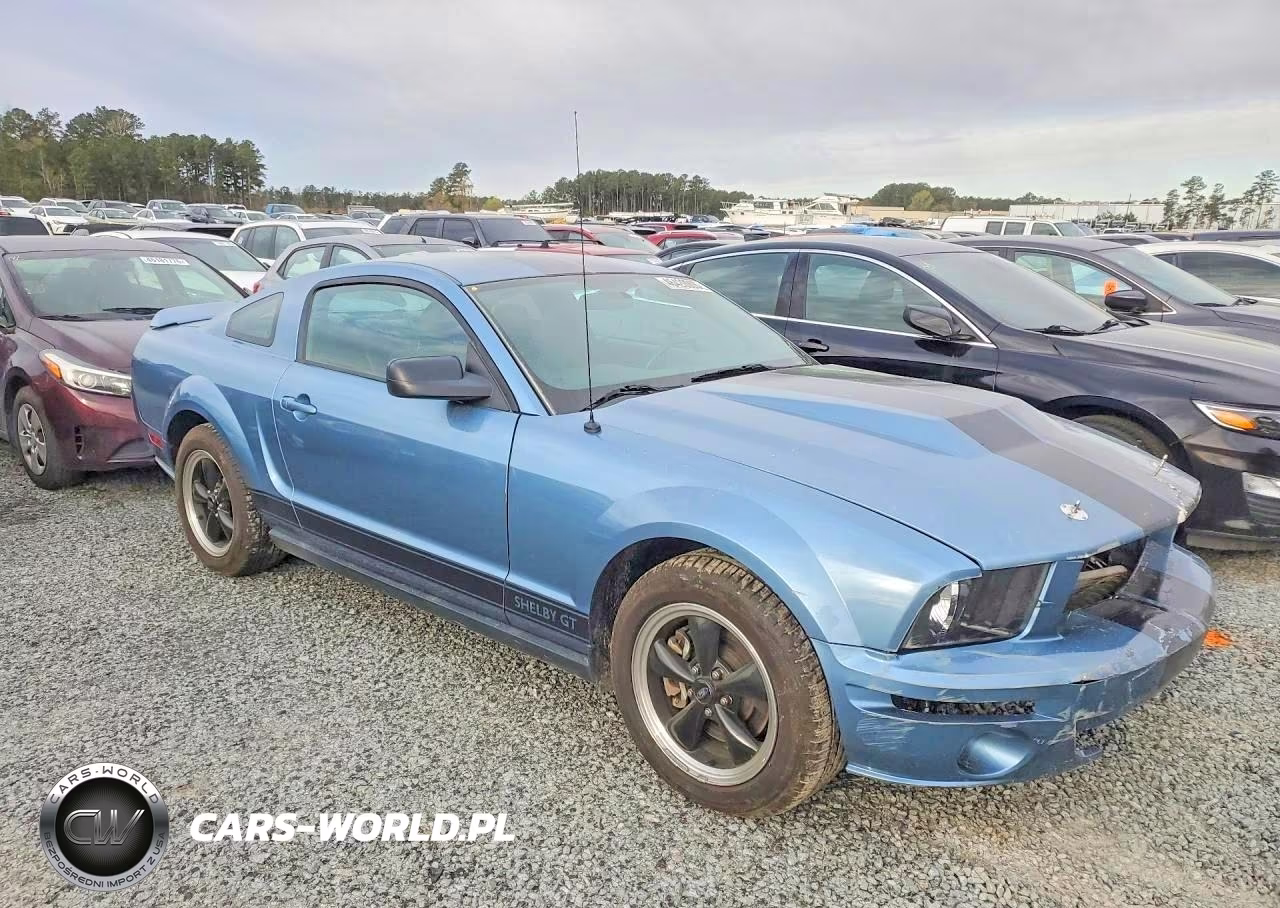 2006 Ford Mustang Gt VIN:1ZVFT82H065243741 - 4