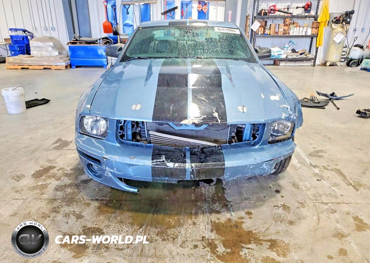 2006 Ford Mustang Gt VIN:1ZVFT82H065243741 - 5