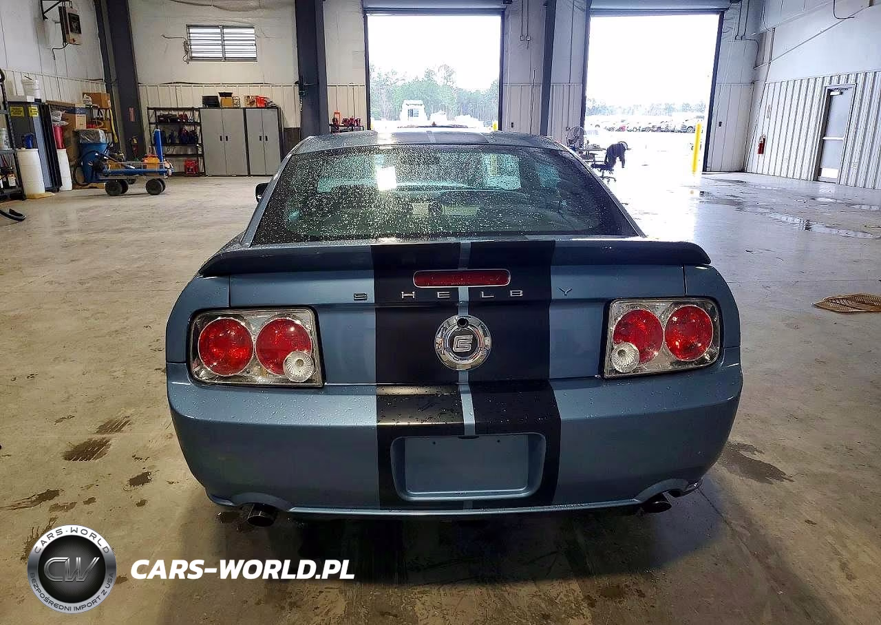 2006 Ford Mustang Gt VIN:1ZVFT82H065243741 - 6