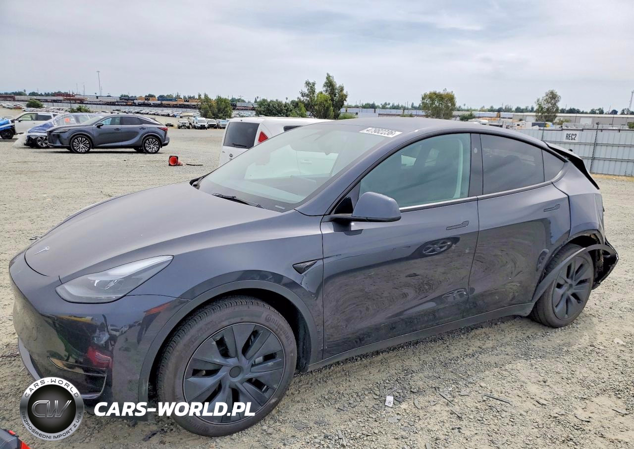 2024 Tesla Model Y