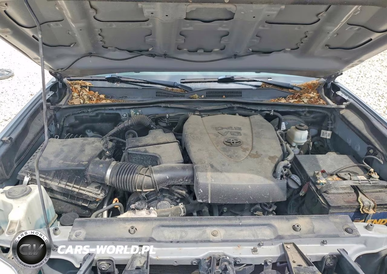 2019 Toyota Tacoma Trd Off-Road VIN:5TFAZ5CN5KX085197 - 11