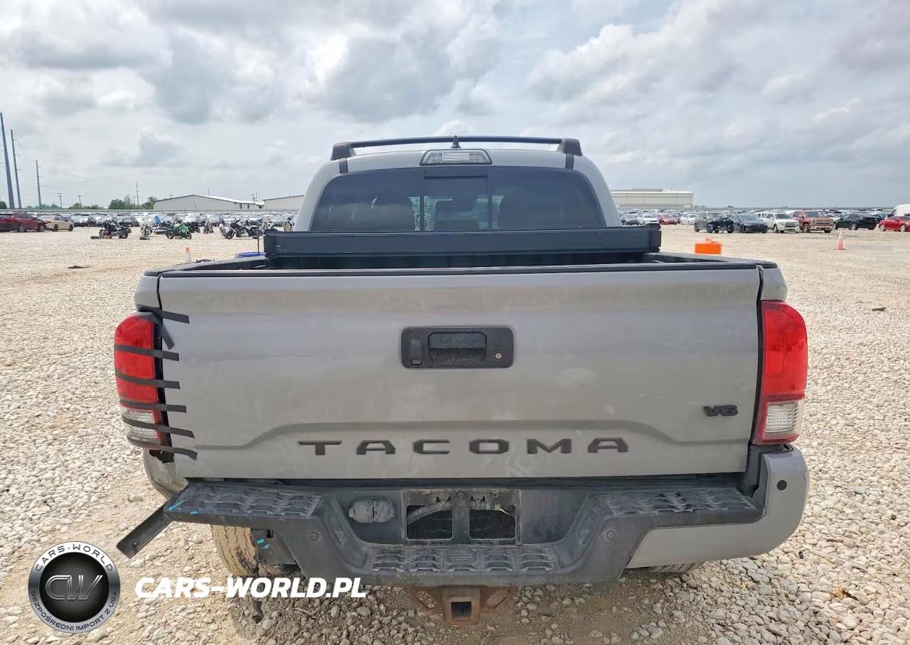 2019 Toyota Tacoma Trd Off-Road VIN:5TFAZ5CN5KX085197 - 6