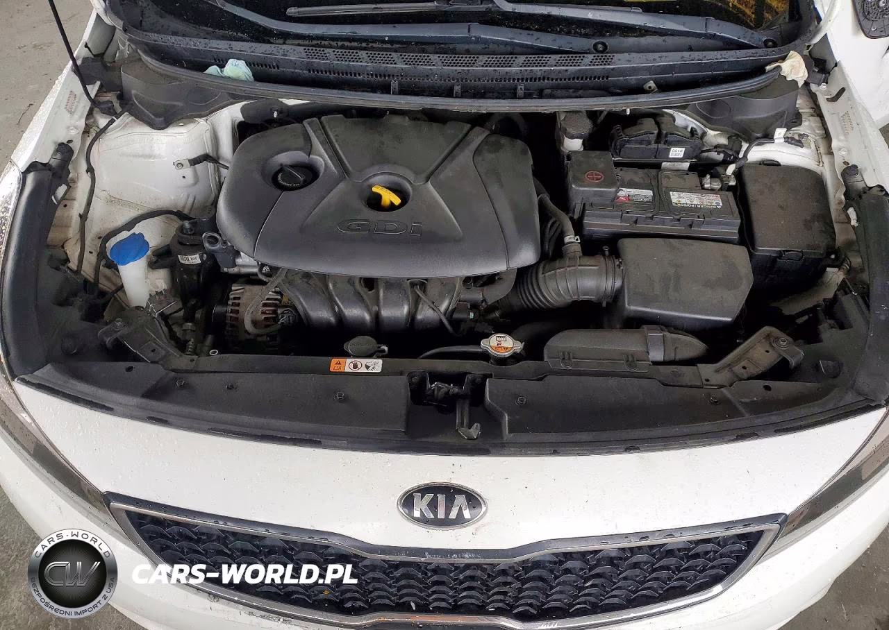 2017 Kia Forte5 Lx VIN:KNAFK5A89H5696973 - 11