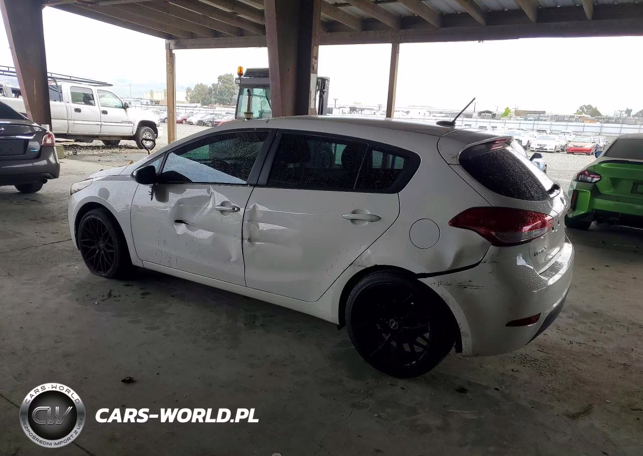 2017 Kia Forte5 Lx VIN:KNAFK5A89H5696973 - 2