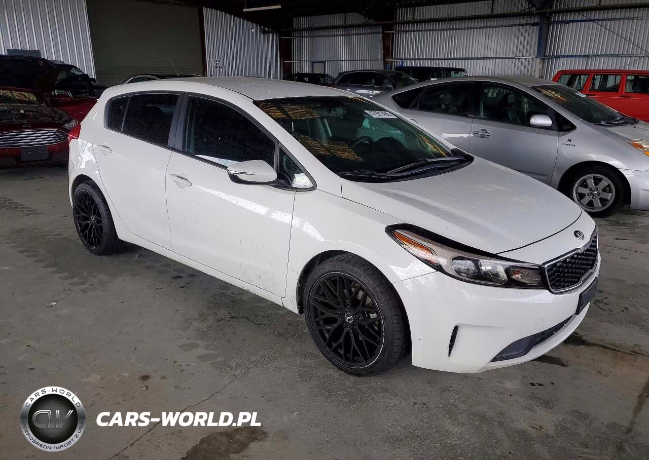 2017 Kia Forte5 Lx VIN:KNAFK5A89H5696973 - 4