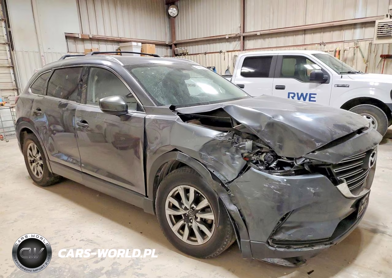2016 Mazda Cx-9 Touring VIN:JM3TCACY5G0126349 - 4