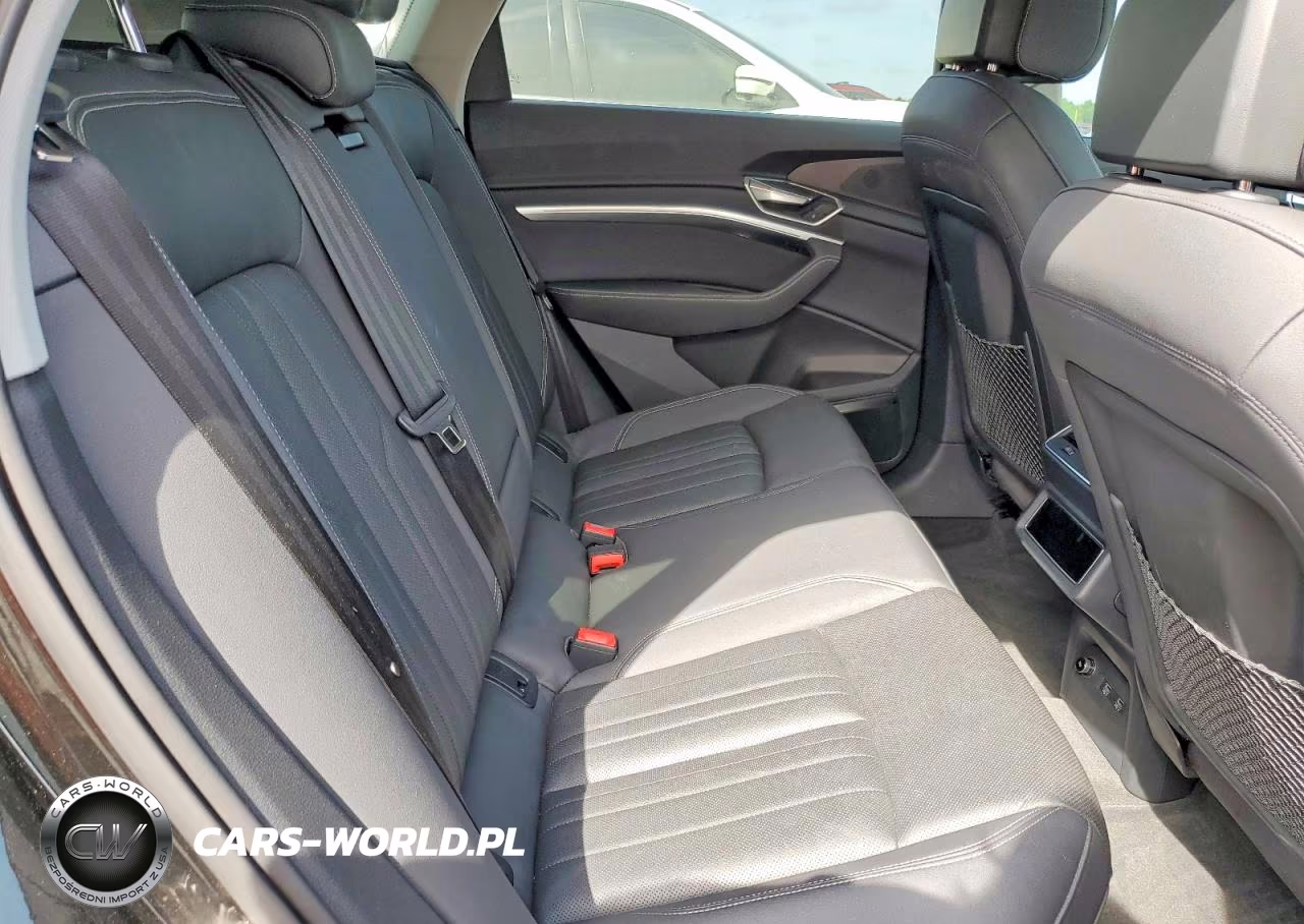 2019 Audi E-Tron Premium Plus VIN:WA1LAAGE1KB023001 - 11