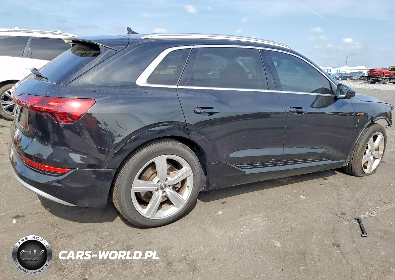 2019 Audi E-Tron Premium Plus VIN:WA1LAAGE1KB023001 - 3