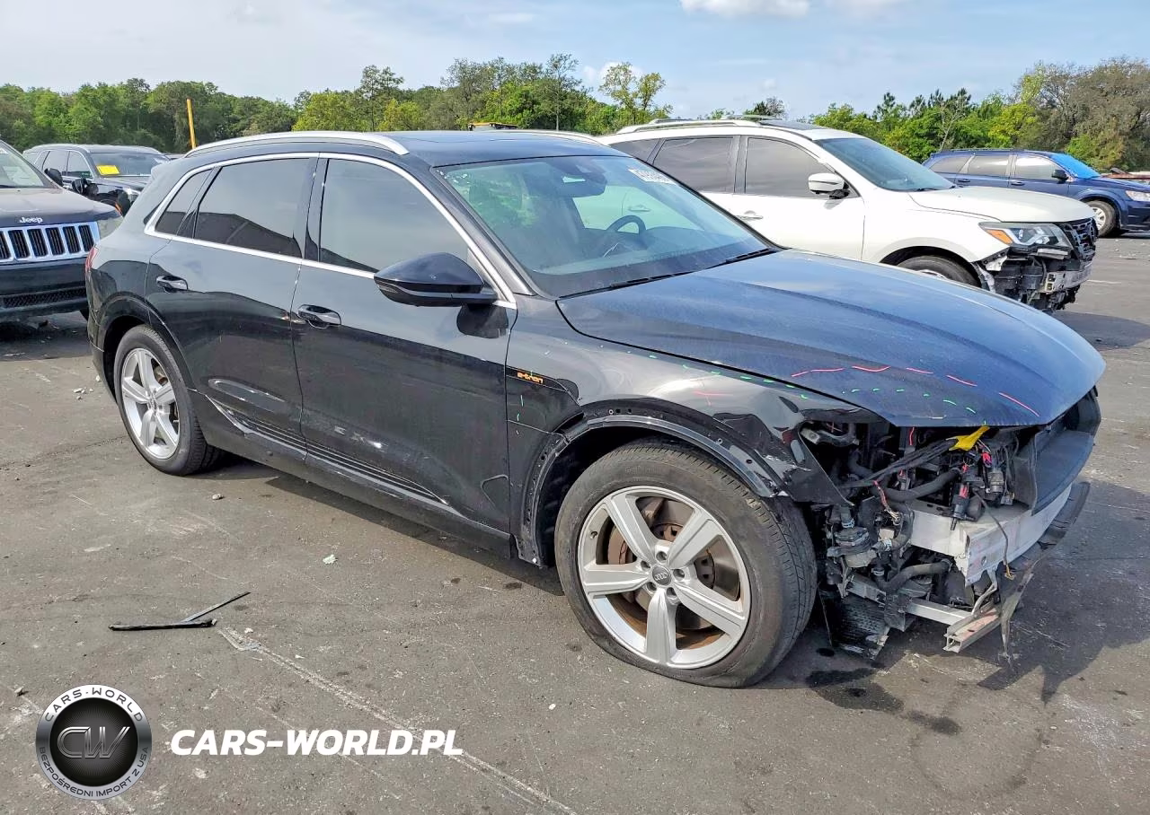 2019 Audi E-Tron Premium Plus VIN:WA1LAAGE1KB023001 - 4