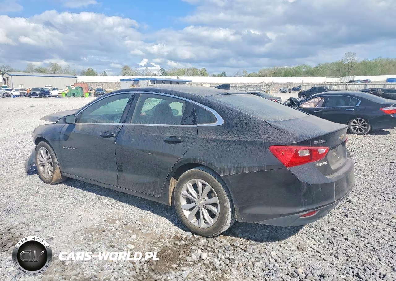 2023 Chevrolet Malibu Lt VIN:1G1ZD5ST3PF131732 - 2
