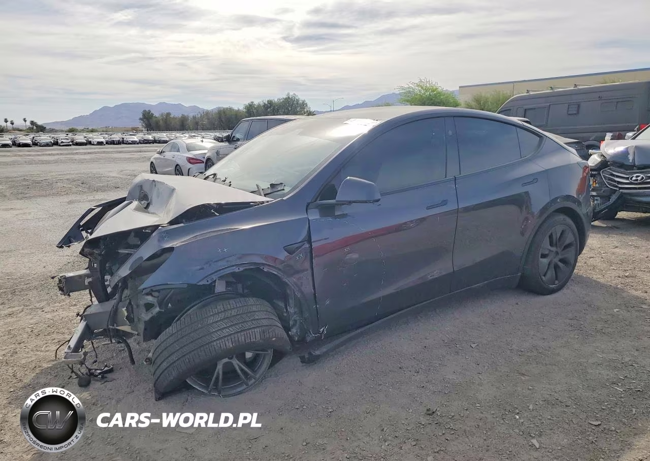 2025 Tesla Model Y