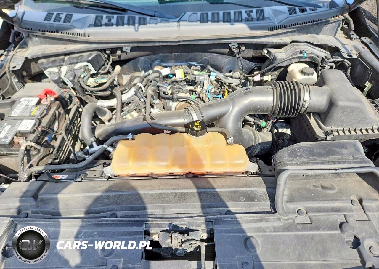 2019 Ford F150 Supercrew VIN:1FTEW1EP1KFA40670 - 11