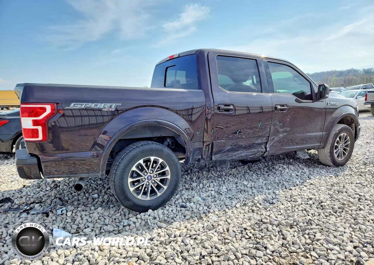 2019 Ford F150 Supercrew VIN:1FTEW1EP1KFA40670 - 3