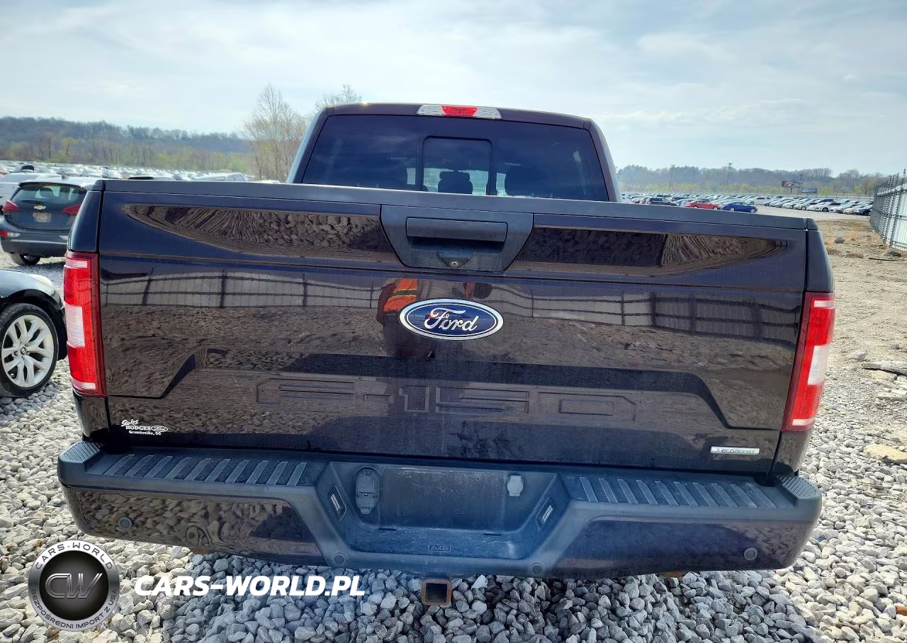 2019 Ford F150 Supercrew VIN:1FTEW1EP1KFA40670 - 6