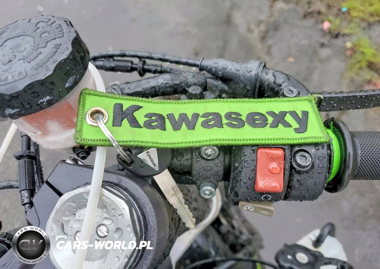 2023 Kawasaki Zx636 K VIN:JKBZXJH14PA017772 - 8