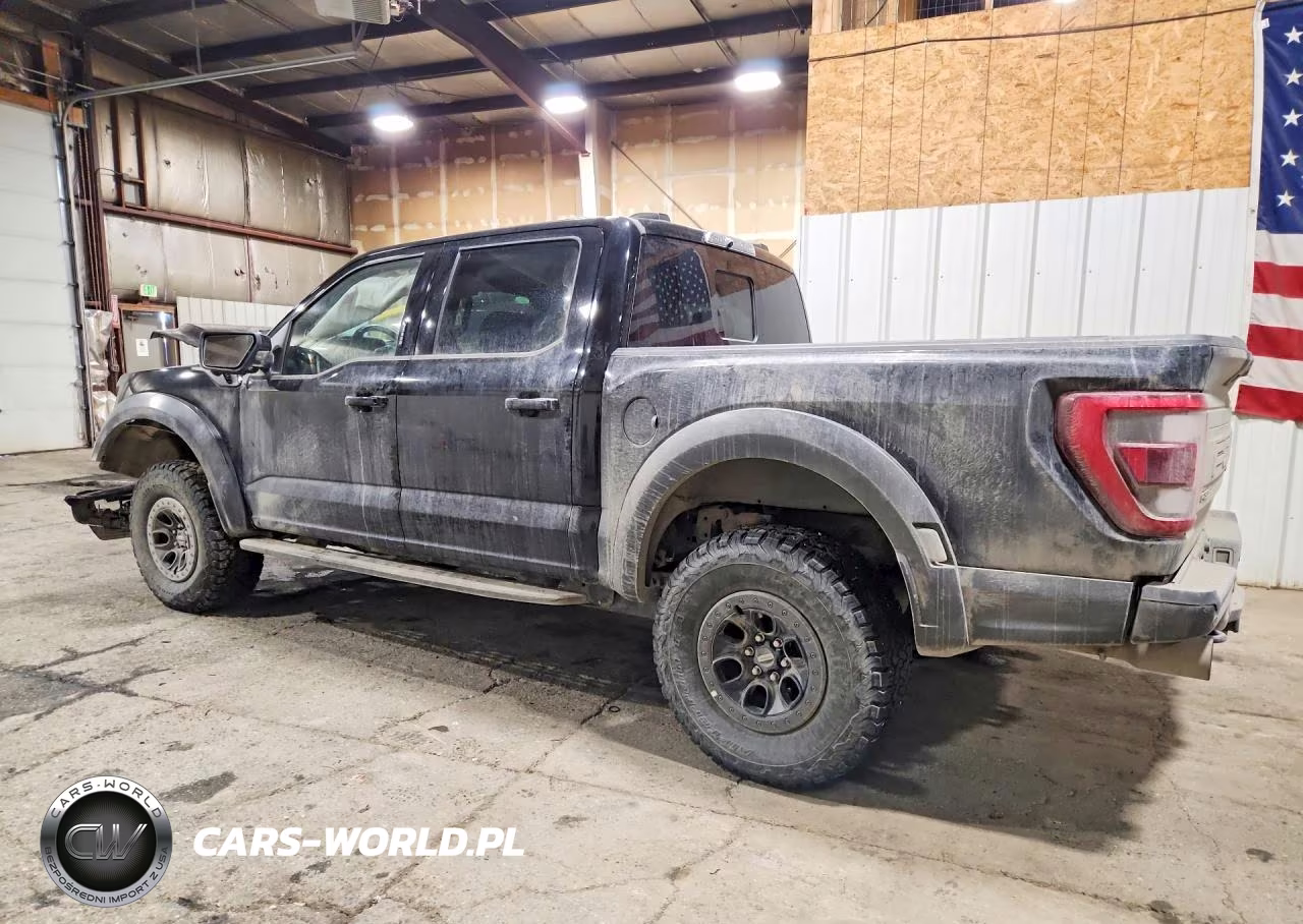 2023 Ford F150 Raptor VIN:1FTFW1RG2PFB25703 - 2