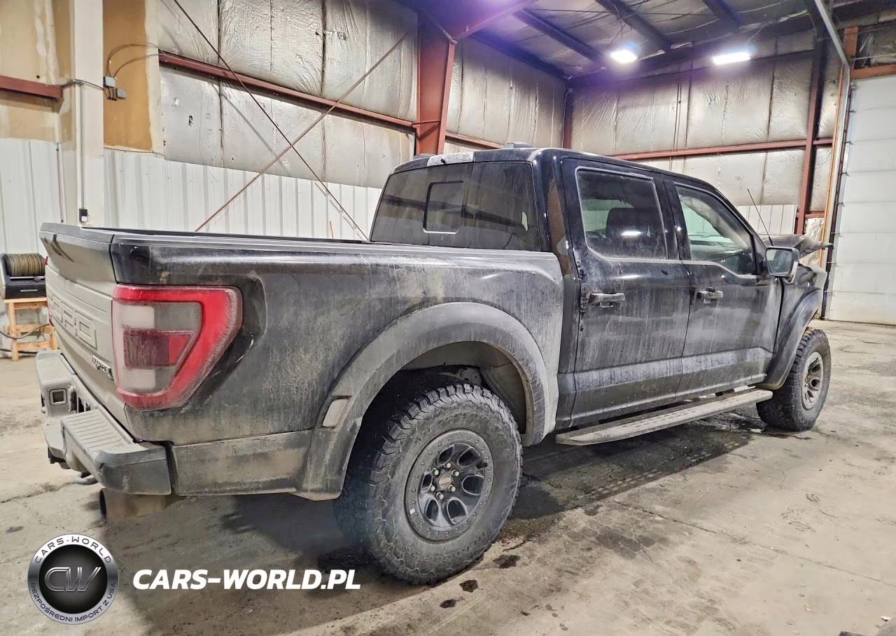 2023 Ford F150 Raptor VIN:1FTFW1RG2PFB25703 - 3
