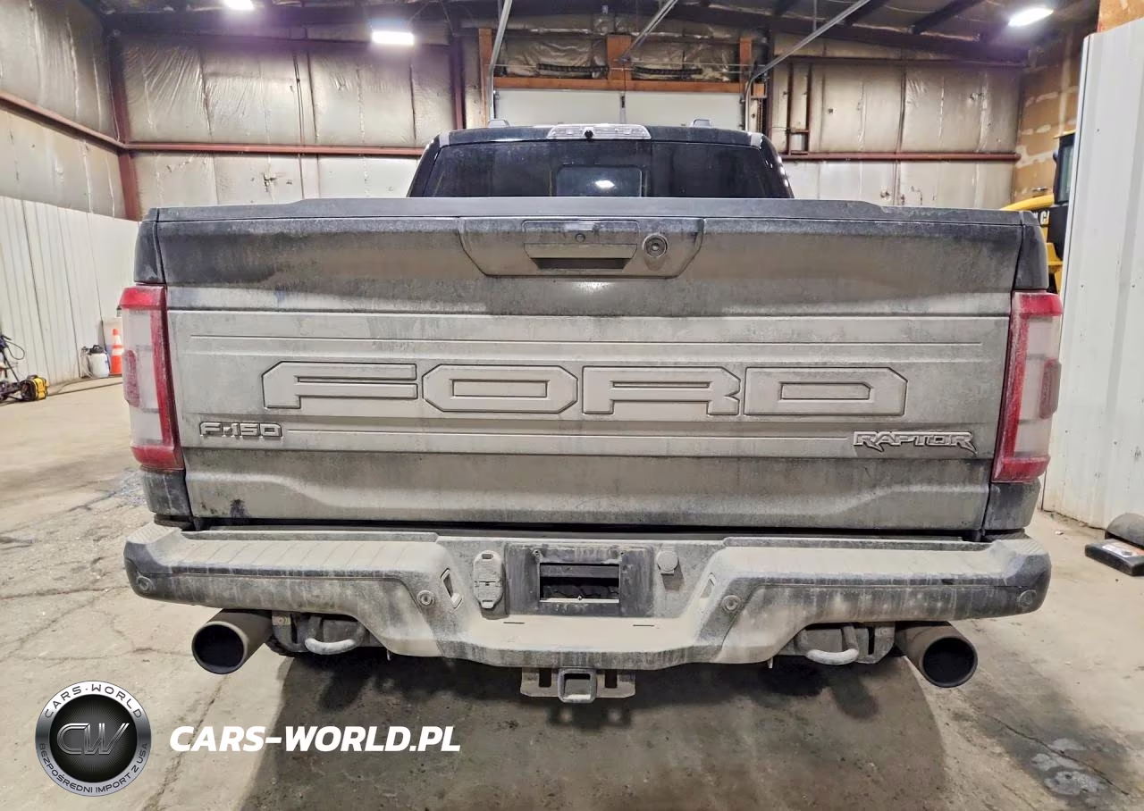2023 Ford F150 Raptor VIN:1FTFW1RG2PFB25703 - 6