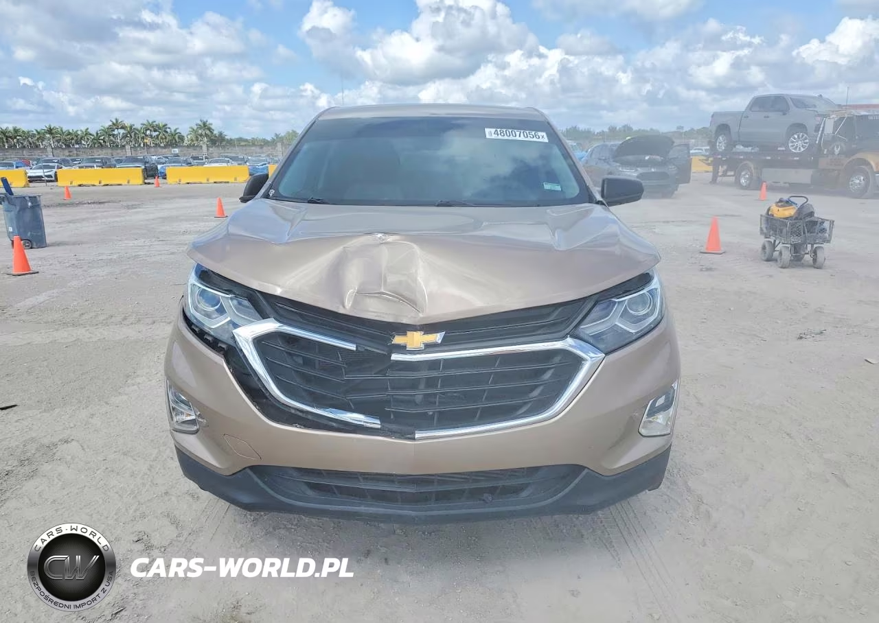 2019 Chevrolet Equinox Ls VIN:2GNAXHEV8K6235945 - 5