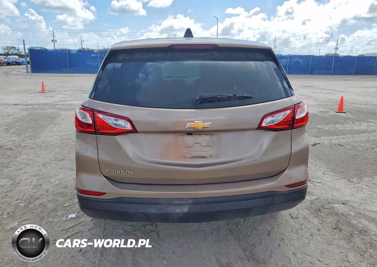 2019 Chevrolet Equinox Ls VIN:2GNAXHEV8K6235945 - 6